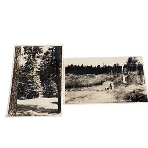 Junk Drawer Lot of 2 Vtg Mississippi Itasca State Park Minn RPPC 5.25 x 3.5"